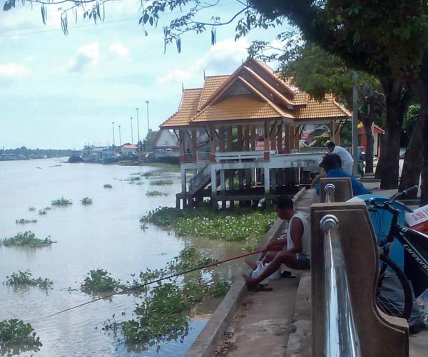 Río Tapi. Surat Thani.Tailandia.