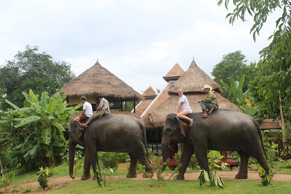Elefantes-luang prabang